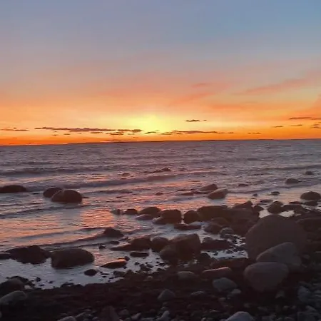 A Tiny House With A Garden And A Hot Tube Nyaraló