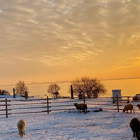 A Tiny House With A Garden And A Hot Tube